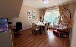 PEDRO FONTOVA / HUECHURABA