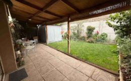 GUANACO NORTE / HUECHURABA