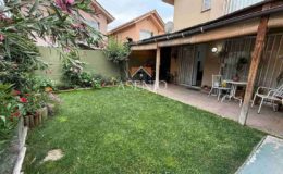 GUANACO NORTE / HUECHURABA