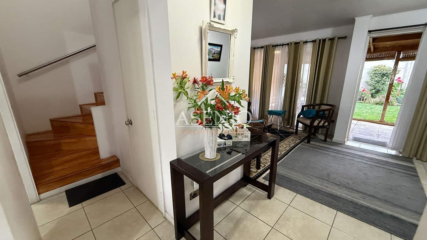 GUANACO NORTE / HUECHURABA