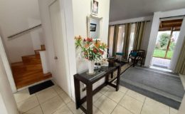 GUANACO NORTE / HUECHURABA