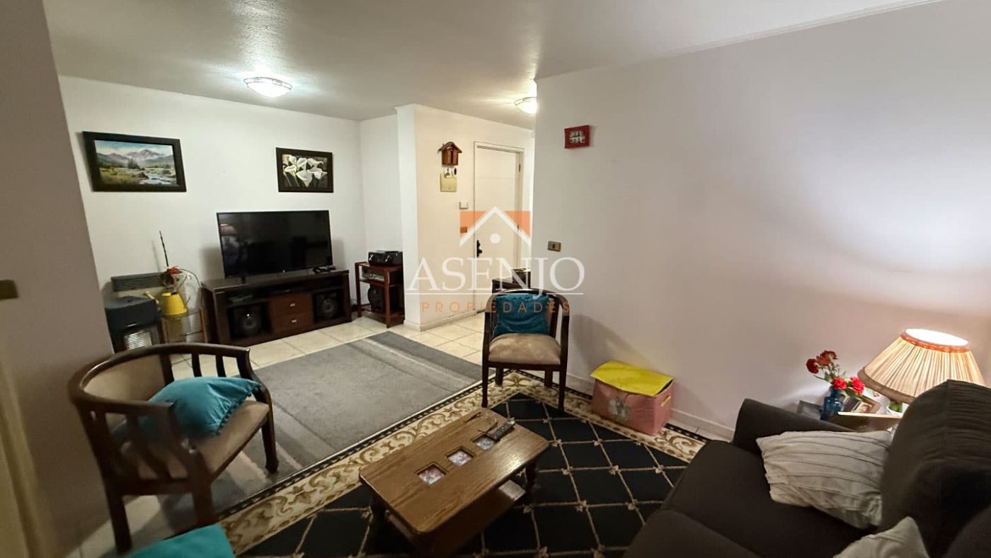 GUANACO NORTE / HUECHURABA