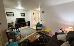 GUANACO NORTE / HUECHURABA