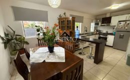 GUANACO NORTE / HUECHURABA