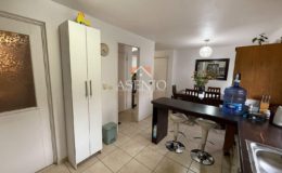 GUANACO NORTE / HUECHURABA