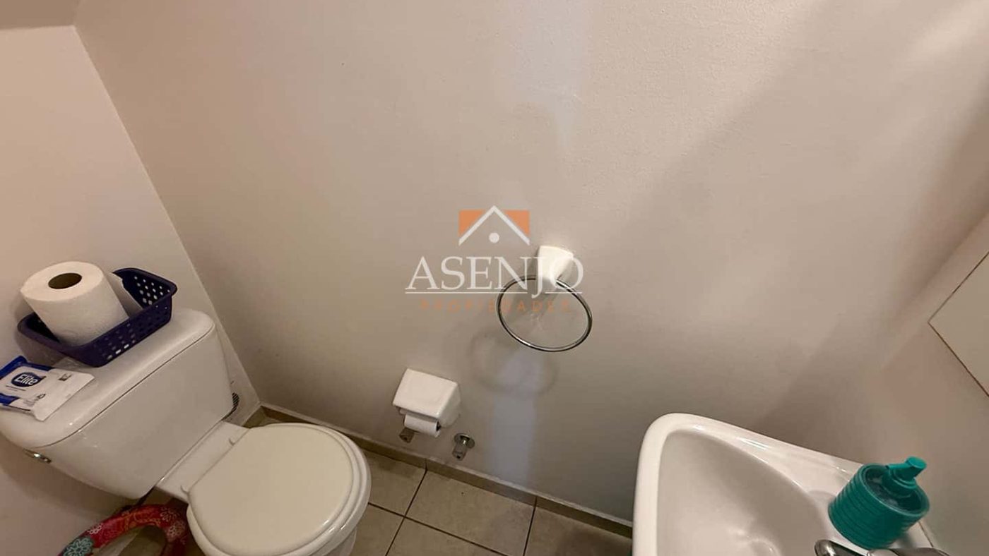 GUANACO NORTE / HUECHURABA