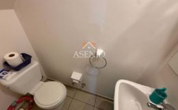 GUANACO NORTE / HUECHURABA