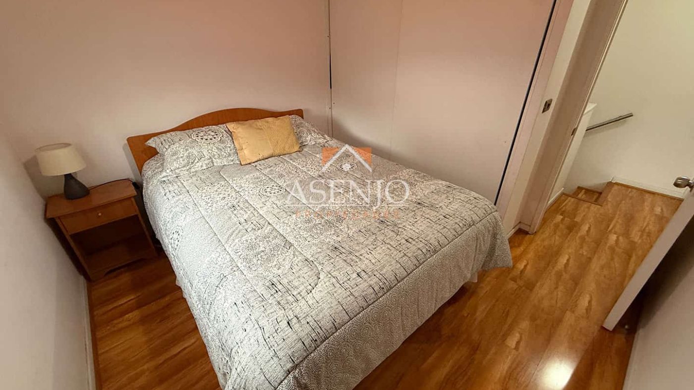 GUANACO NORTE / HUECHURABA