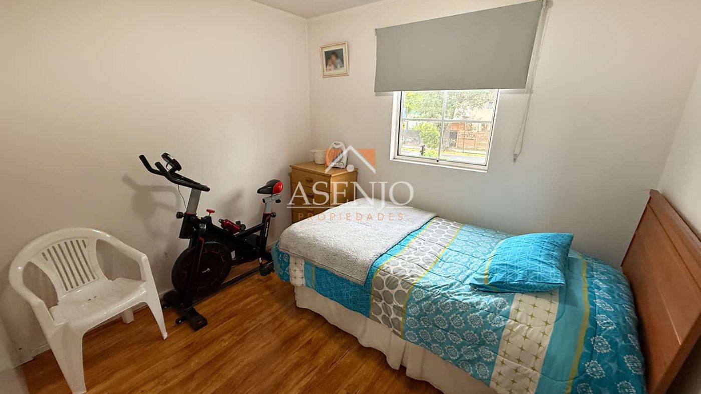 GUANACO NORTE / HUECHURABA