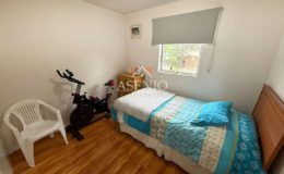 GUANACO NORTE / HUECHURABA