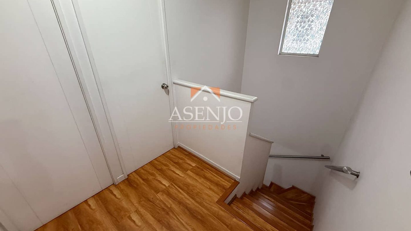 GUANACO NORTE / HUECHURABA