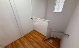 GUANACO NORTE / HUECHURABA