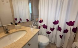 GUANACO NORTE / HUECHURABA