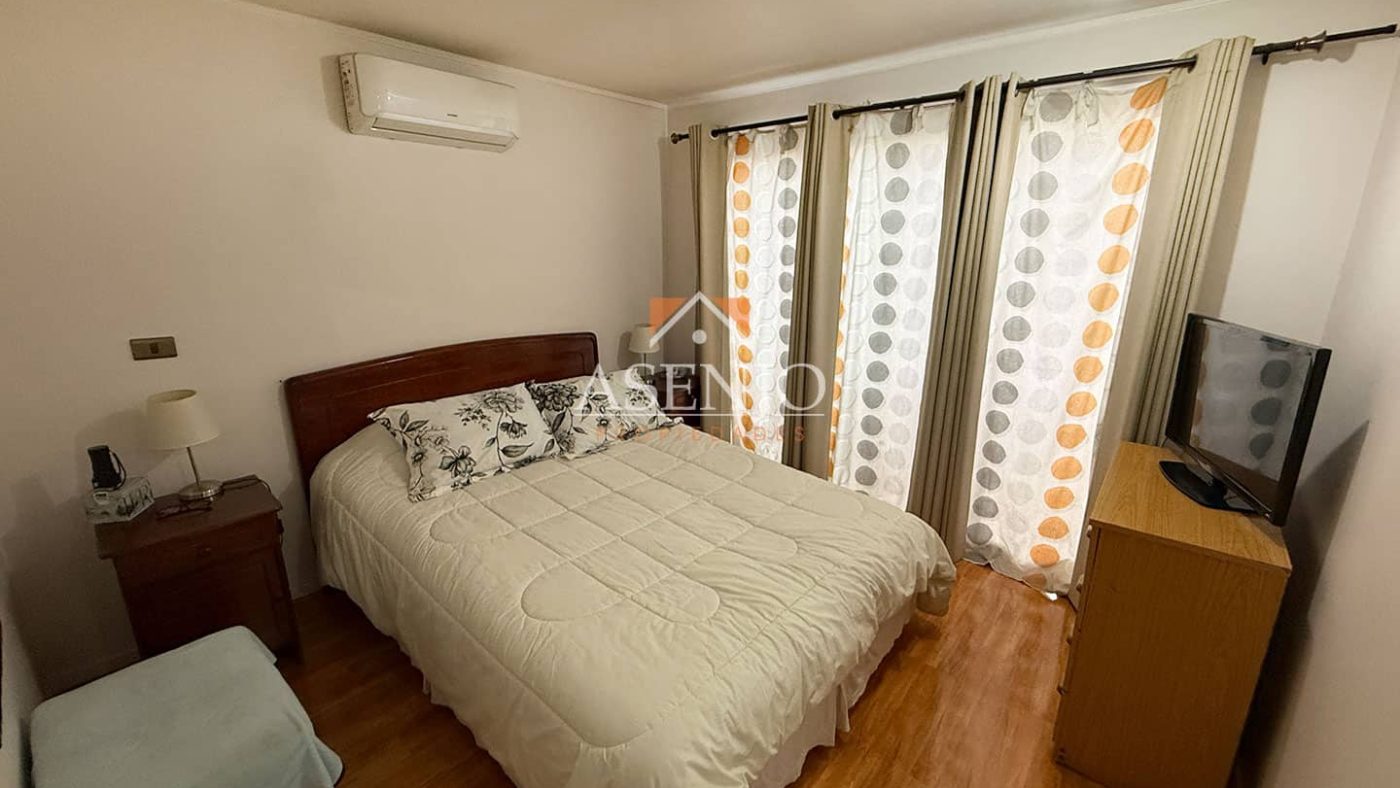 GUANACO NORTE / HUECHURABA