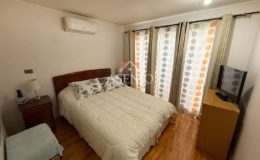 GUANACO NORTE / HUECHURABA