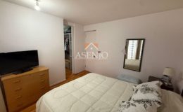 GUANACO NORTE / HUECHURABA