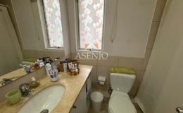 GUANACO NORTE / HUECHURABA