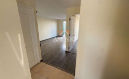 EL ROBLE / HUECHURABA