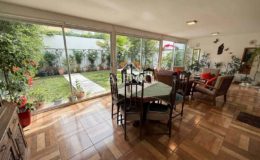 GUANACO NORTE / HUECHURABA