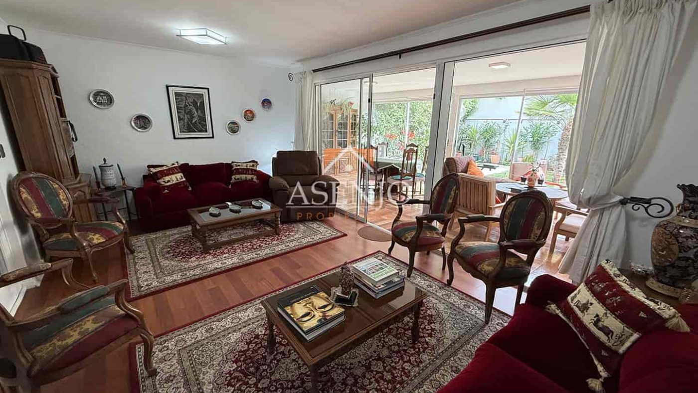 GUANACO NORTE / HUECHURABA