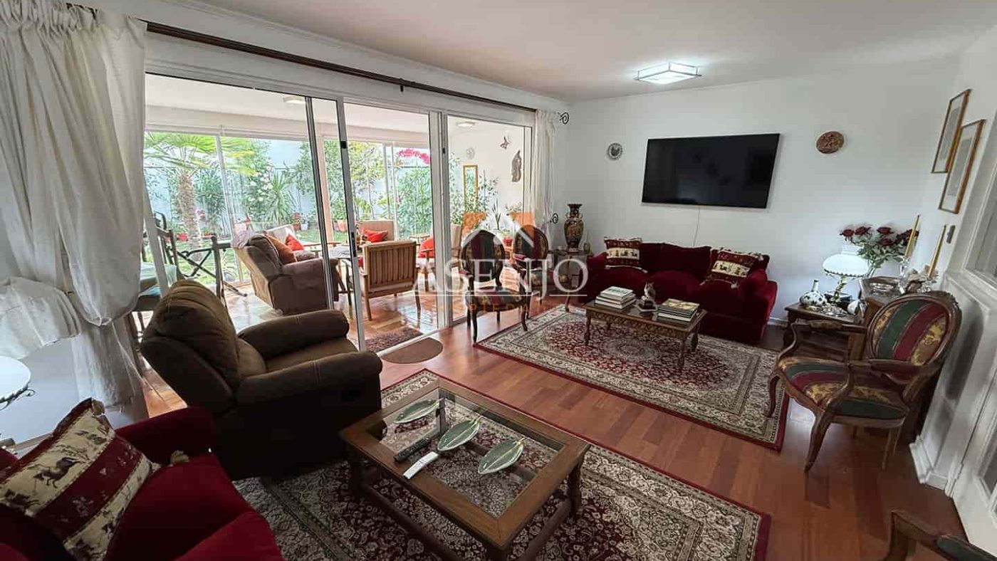 GUANACO NORTE / HUECHURABA