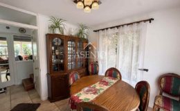 GUANACO NORTE / HUECHURABA