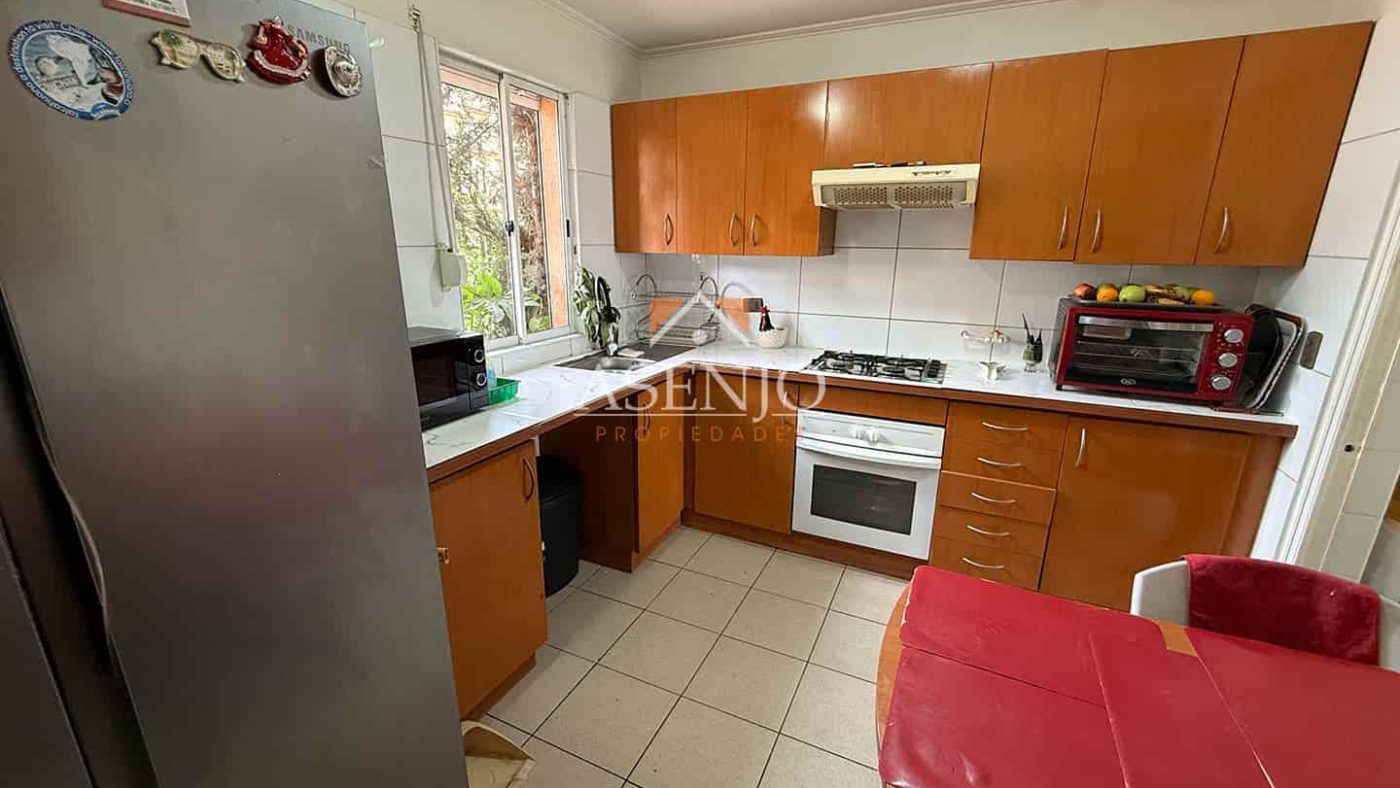 GUANACO NORTE / HUECHURABA