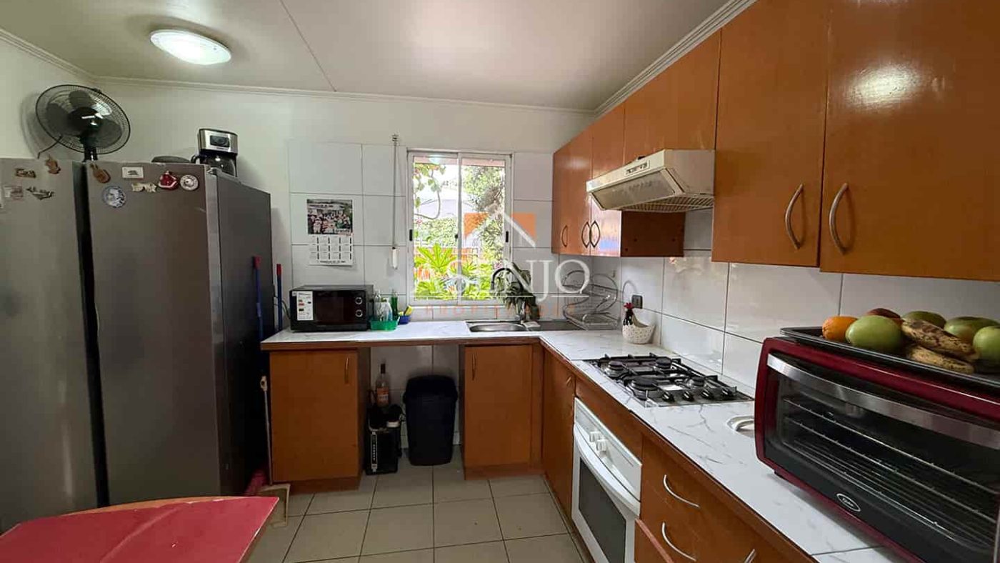 GUANACO NORTE / HUECHURABA