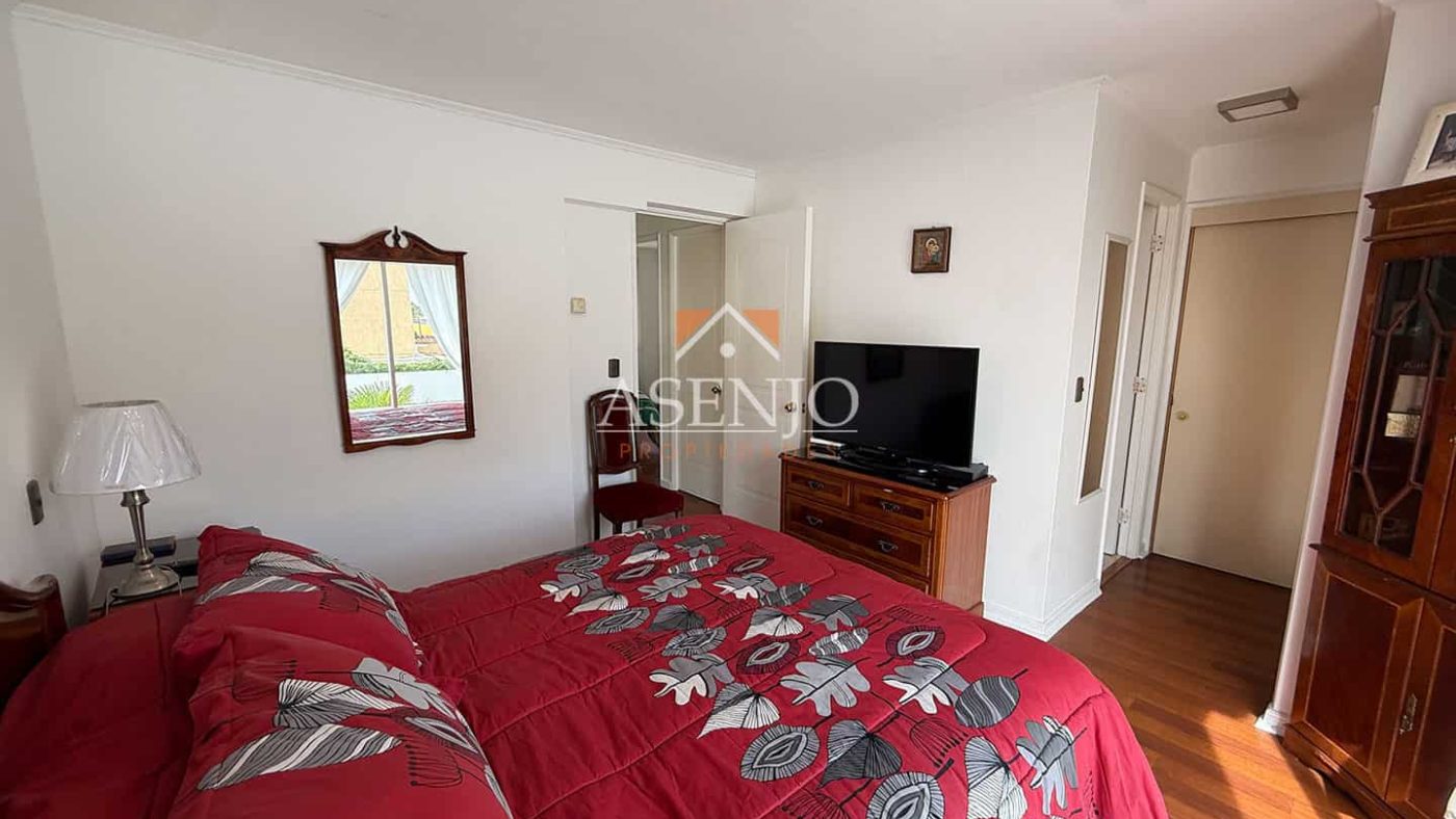 GUANACO NORTE / HUECHURABA