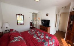 GUANACO NORTE / HUECHURABA