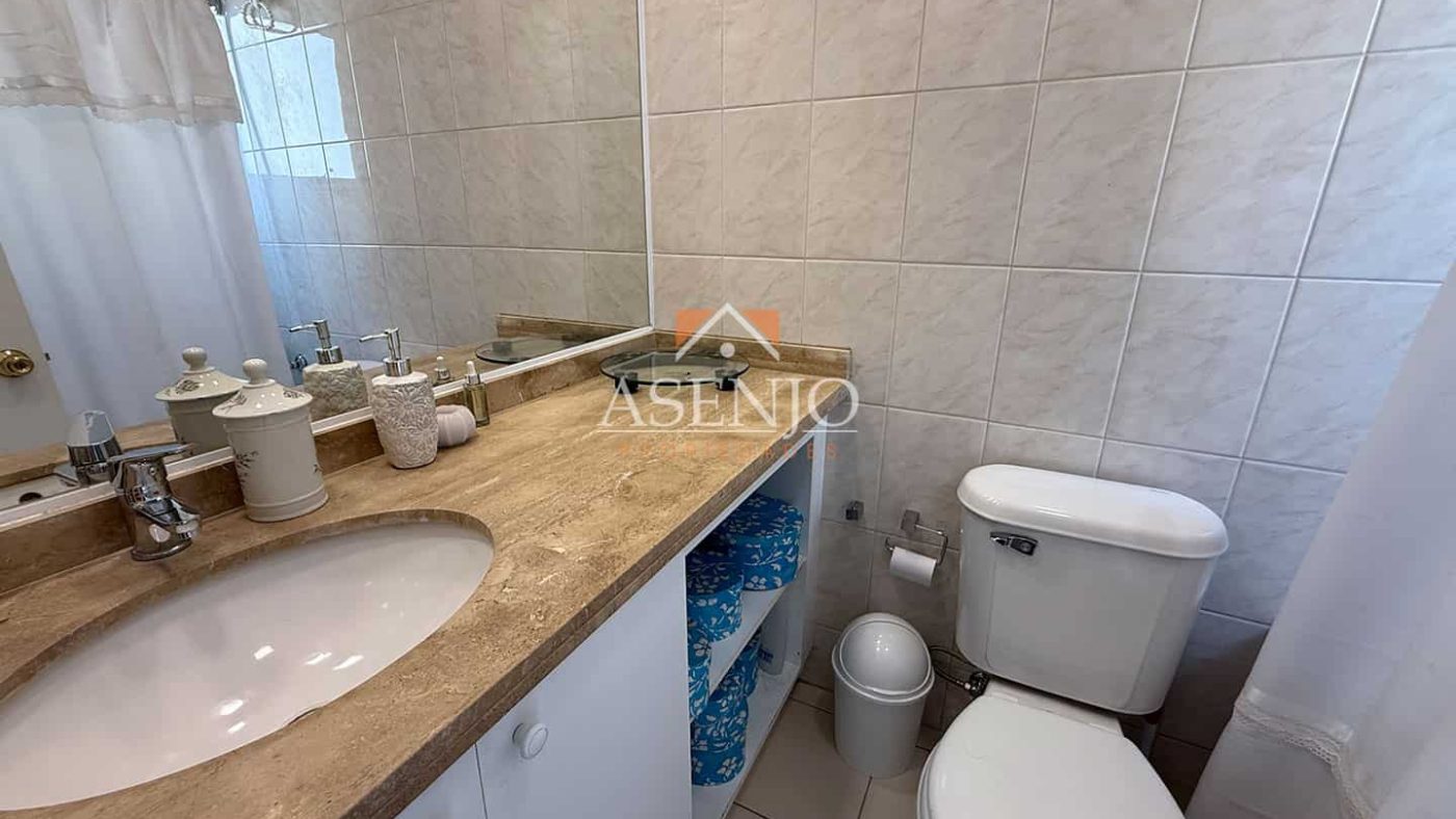 GUANACO NORTE / HUECHURABA