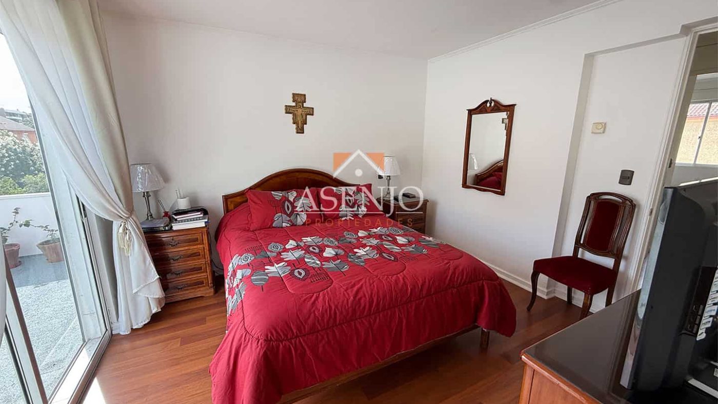 GUANACO NORTE / HUECHURABA