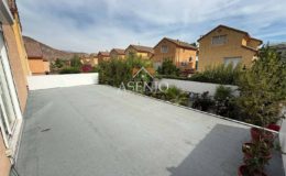 GUANACO NORTE / HUECHURABA