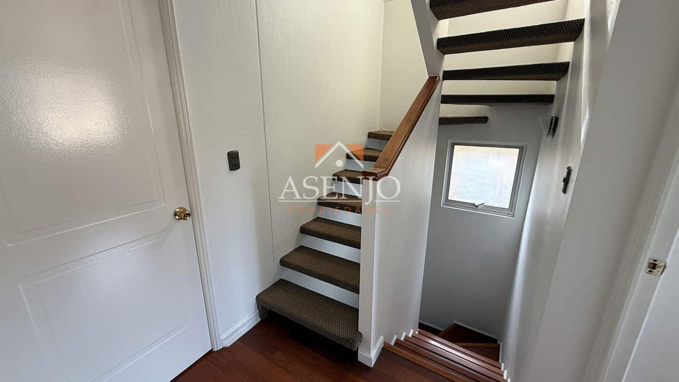 GUANACO NORTE / HUECHURABA