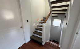 GUANACO NORTE / HUECHURABA