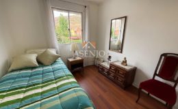 GUANACO NORTE / HUECHURABA