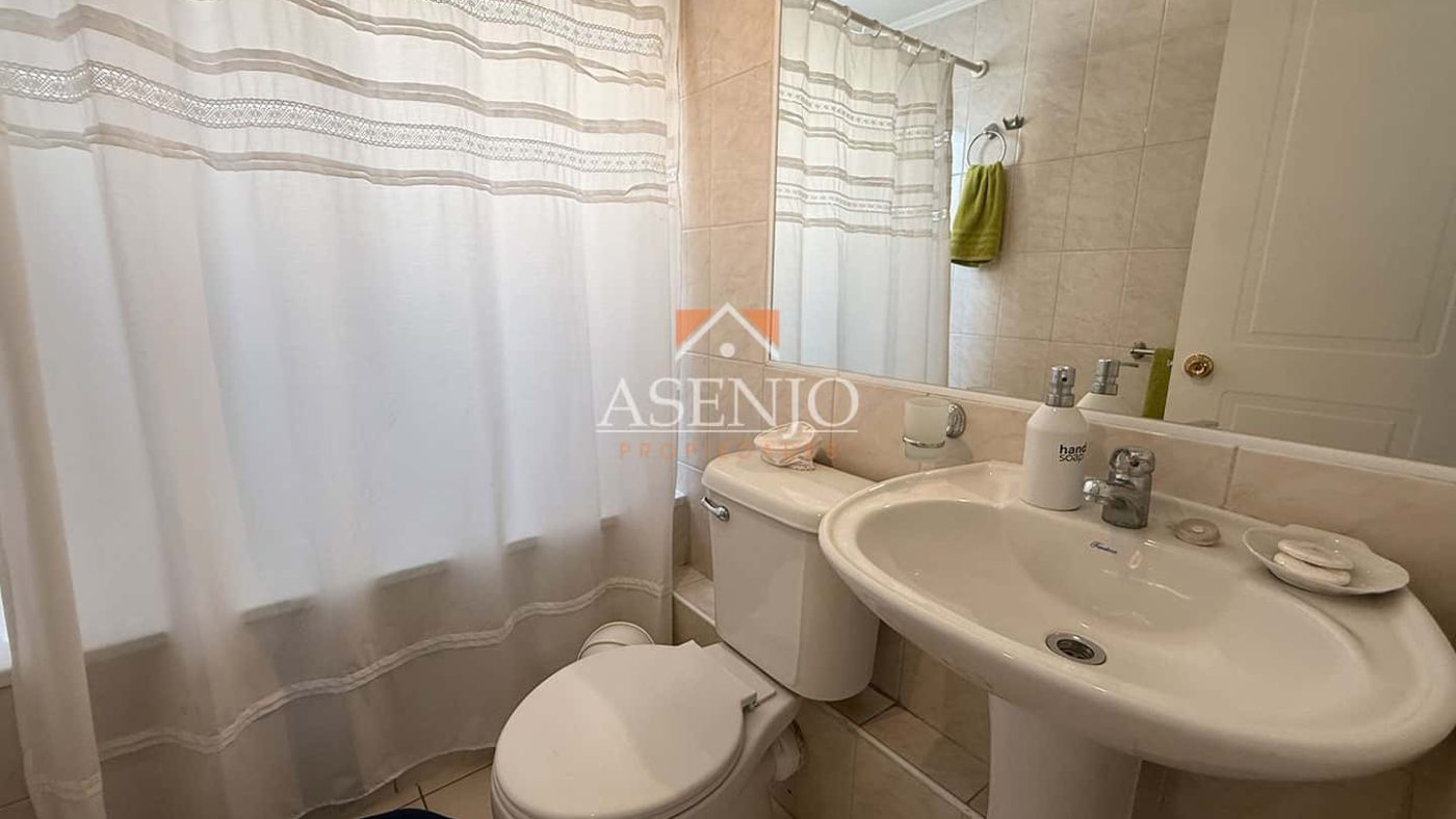 GUANACO NORTE / HUECHURABA