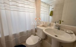 GUANACO NORTE / HUECHURABA