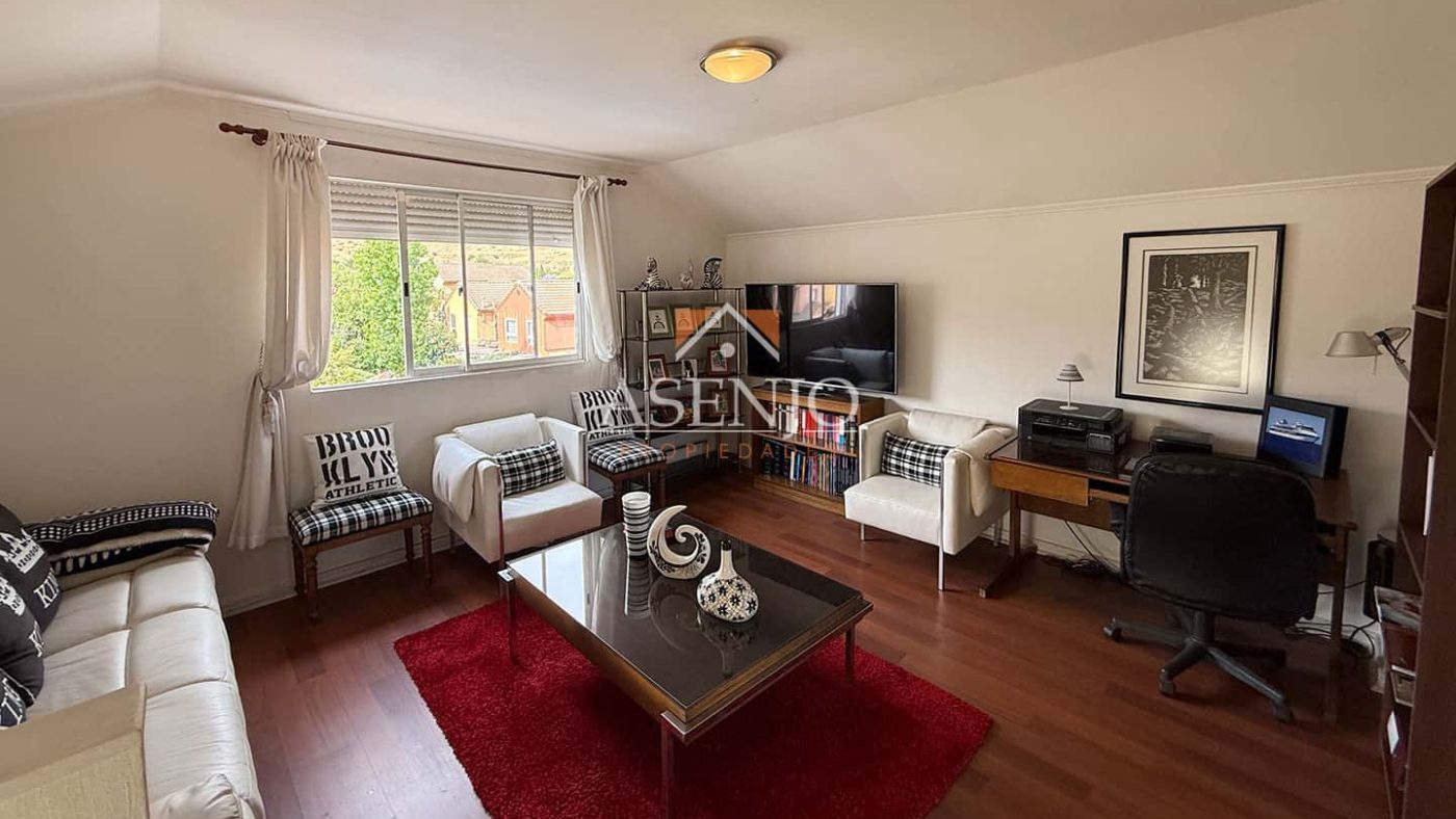 GUANACO NORTE / HUECHURABA