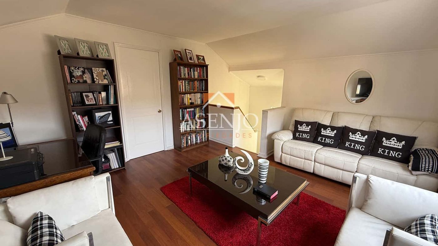 GUANACO NORTE / HUECHURABA