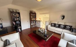 GUANACO NORTE / HUECHURABA