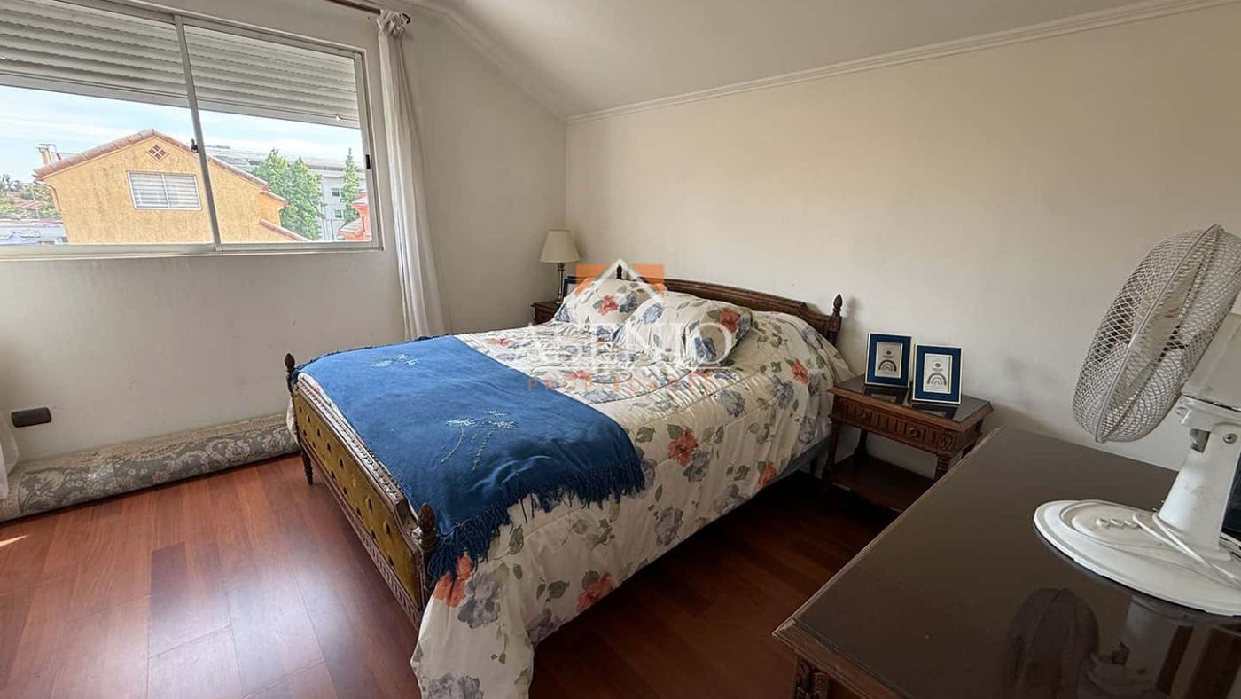 GUANACO NORTE / HUECHURABA