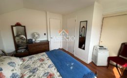 GUANACO NORTE / HUECHURABA