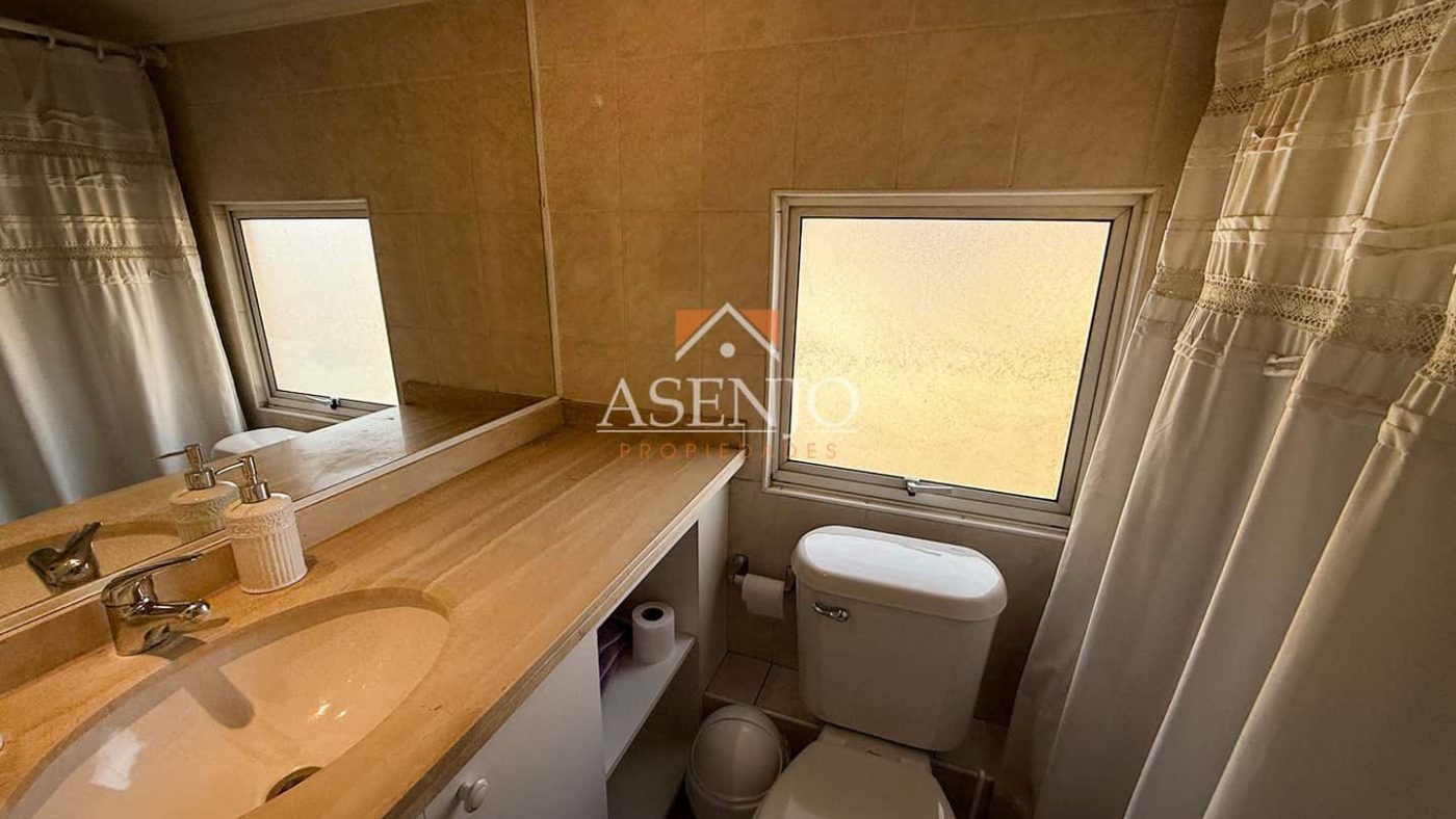 GUANACO NORTE / HUECHURABA