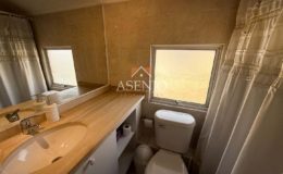 GUANACO NORTE / HUECHURABA