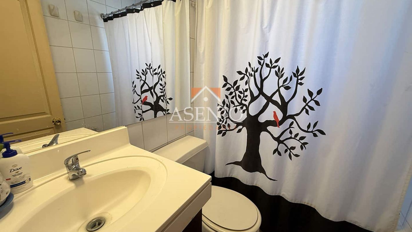 EL ROBLE / HUECHURABA