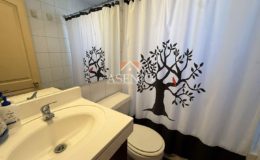 EL ROBLE / HUECHURABA