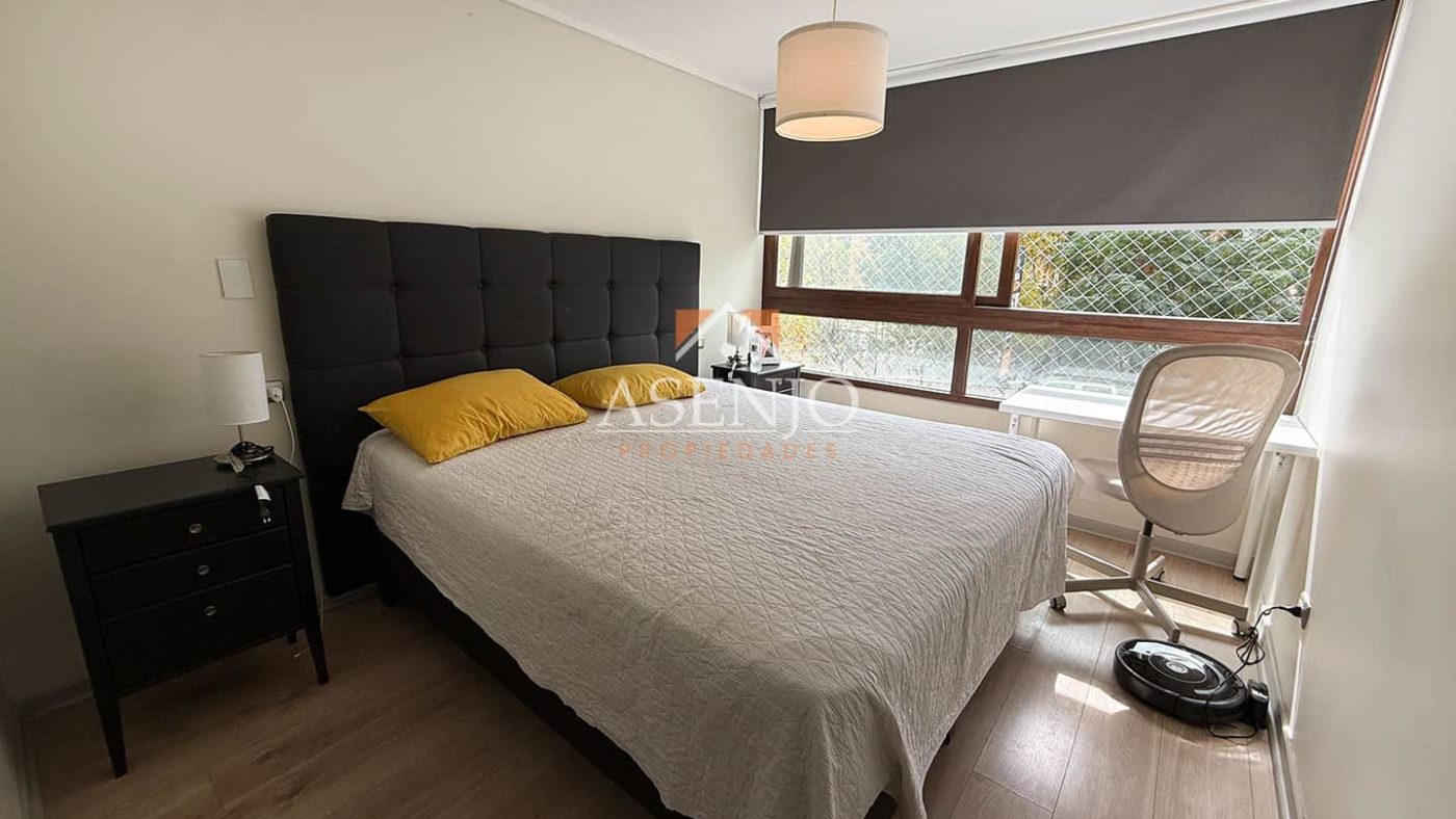 GUANACO NORTE / HUECHURABA