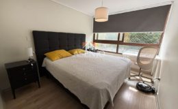 GUANACO NORTE / HUECHURABA