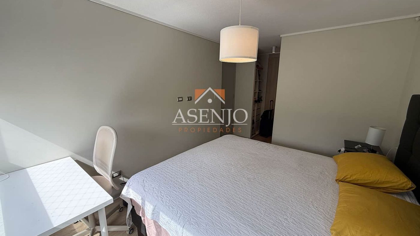 GUANACO NORTE / HUECHURABA